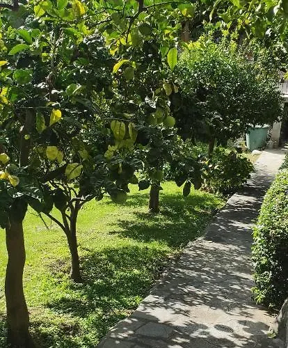 Bed and Breakfast Oasi Regina Pacis *